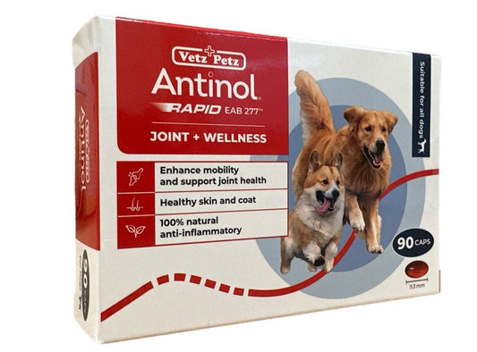 Antinol Rapid for Dogs (90 per box)