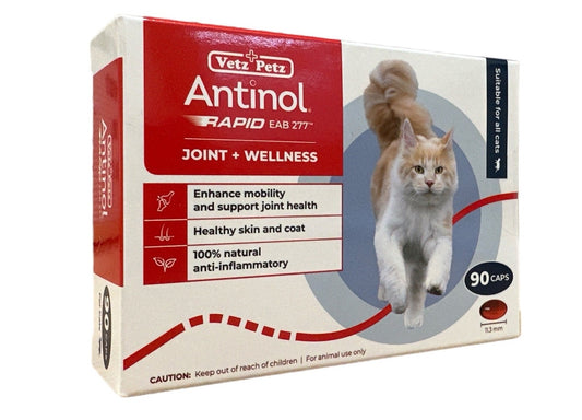 Antinol Rapid for Cats (90 per box)